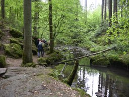 20250527-Monbachtal-007-6610