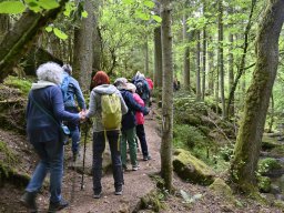 20250527-Monbachtal-010-6613