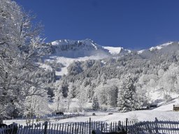 202502-Winterwanderung-031-6219-Tag2-NFHBisSöllereck