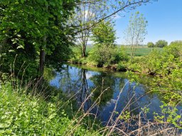 202505-Riespanoramaweg-0220-Tag1-Eger