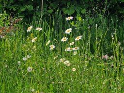 202505-Riespanoramaweg-1080-Tag3-Harburg