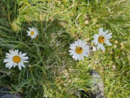 202507-Hindelanger-043J-Klettersteig