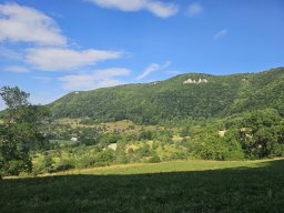 20250705-Rossfels-018