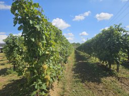 202508-alpenuberquerung-7050j-tag13